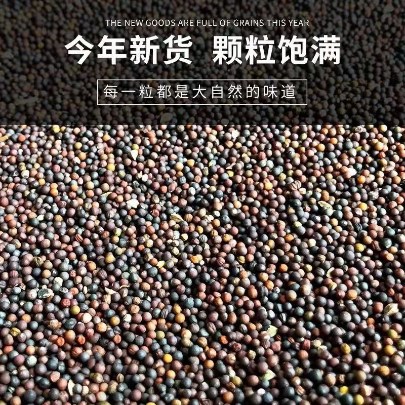 Rapeseed Rapeseed Seasonal New Rapeseed Oil Extraction Ornamental Sprouting Edible Large Quantity in Stock Dropshipping