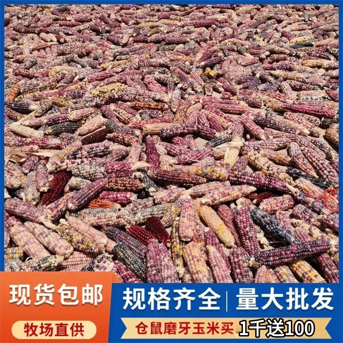 Милая 25-летняя мини-кукуруза для хомяков, жевательная кукуруза на початке, закуска для голландских свинок и шиншилл