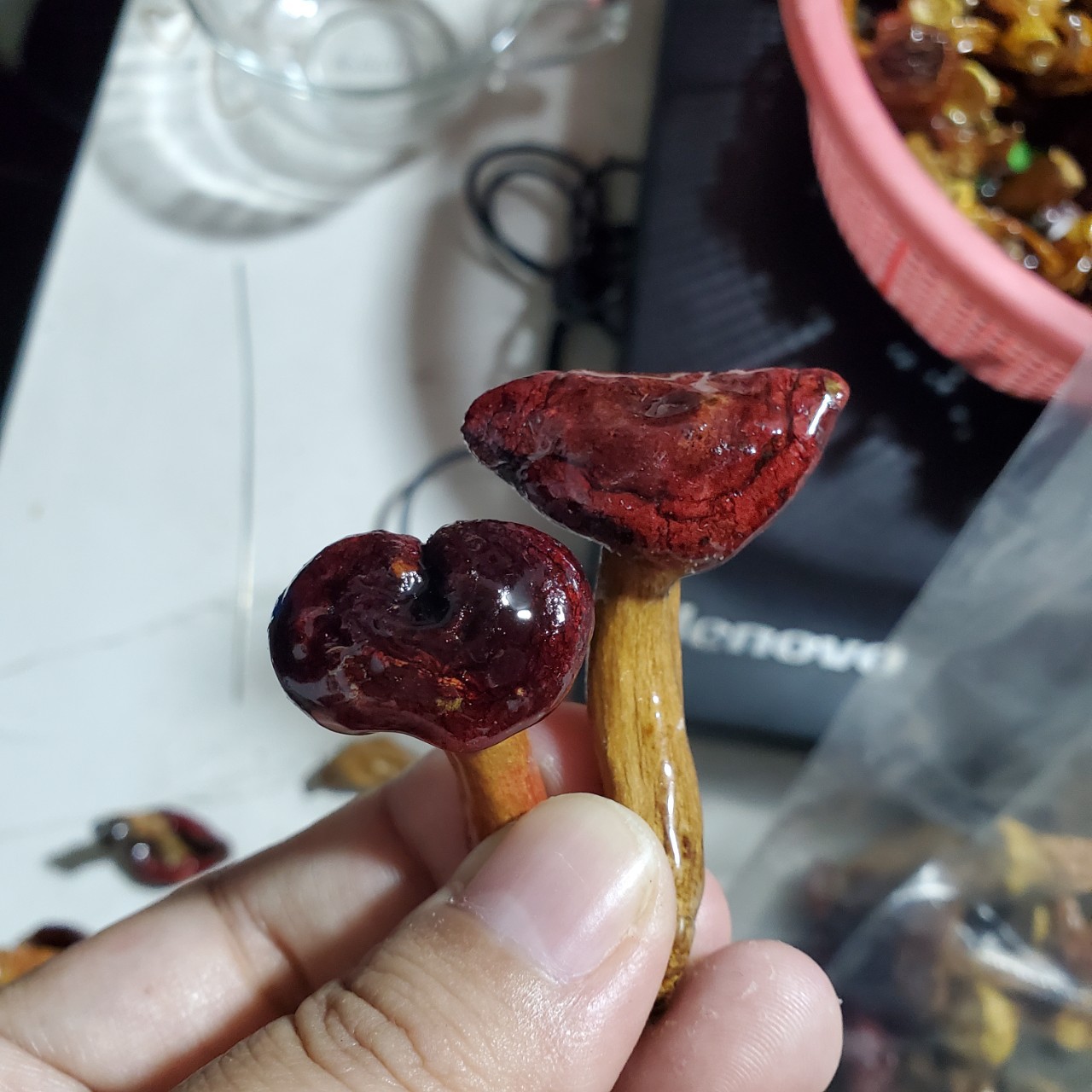 Серьги с красными грибами, маленькие грибные аксессуары для волос, настоящие цветы, сухие цветы, полуподготовленные материалы для декора из смолы