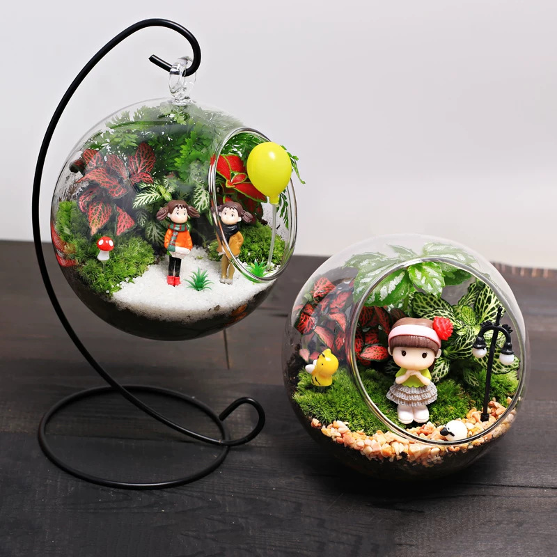 Factory wholesale micro landscape ecological bottle transparent moss hanging hanging bottle hand blown glass succulent vase