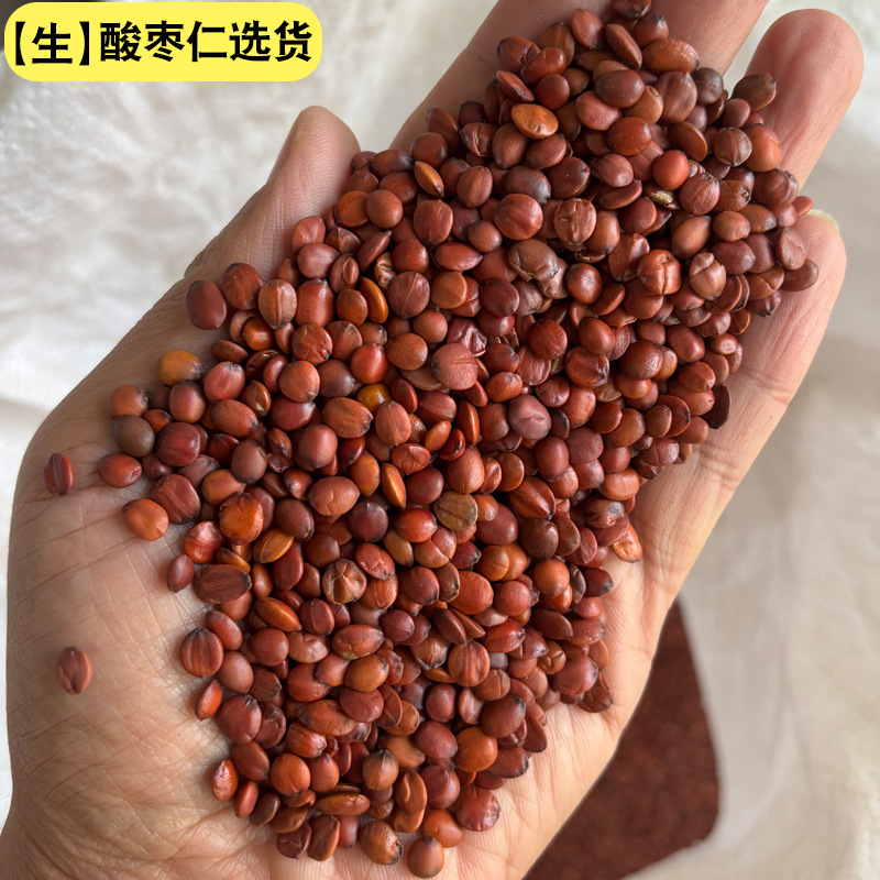 Authentic Wild Roasted Jujube Kernel Chinese Herbal Medicine, No Additives Sleep Tea, Jujube Kernel Powder