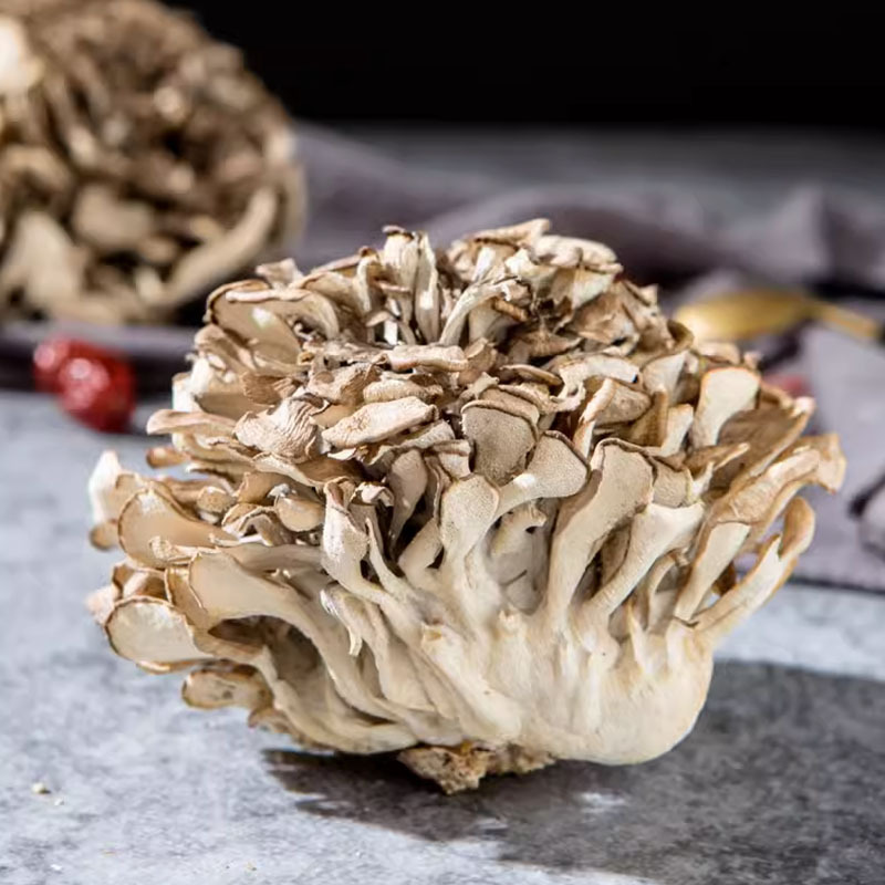 New goods Qingyuan ash tree flower dry goods no sediment ash tree mushroom mong tea chrysanthemum mushroom chestnut mushroom fresh ash tree flower wholesale