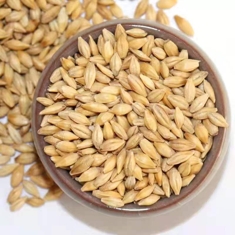 Seasonal New Arrivals, Shelled Barley That Can Germinate, Brewing Feed, Cat Grass, Wholesale Agricultural Grains, Dropshipping