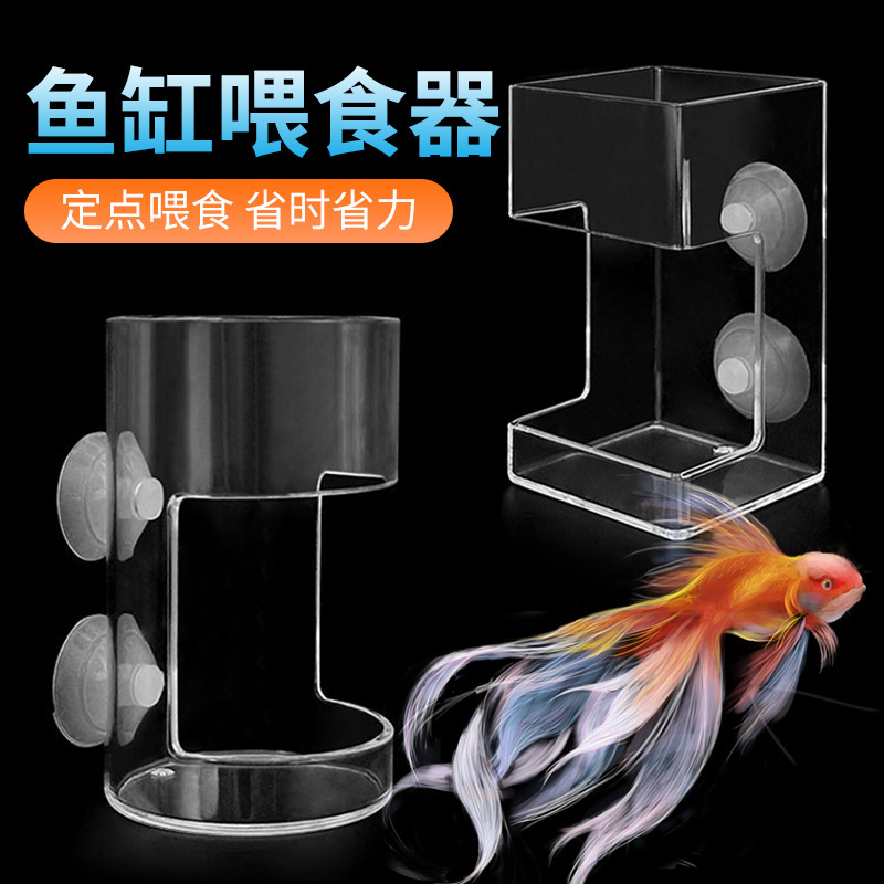 Parrot fish turtle fish tank fish food floating feeding ring suspended fish feeding ring koi large aquarium floating