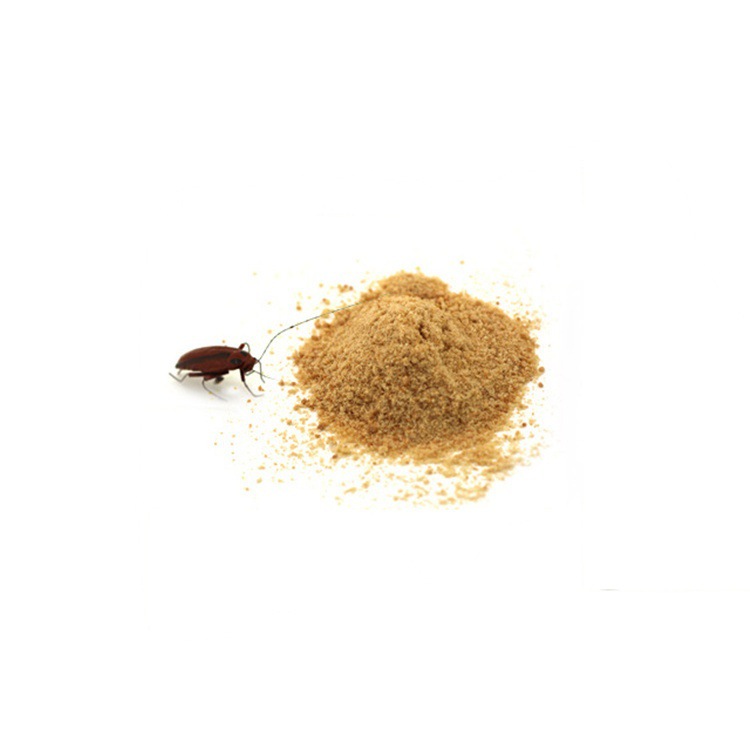 Dachau cockroach killing bait 3g packed cockroach killing bait containing cockroach killing bait whole nest end domestic cockroach drug genuine goods factory price direct supply