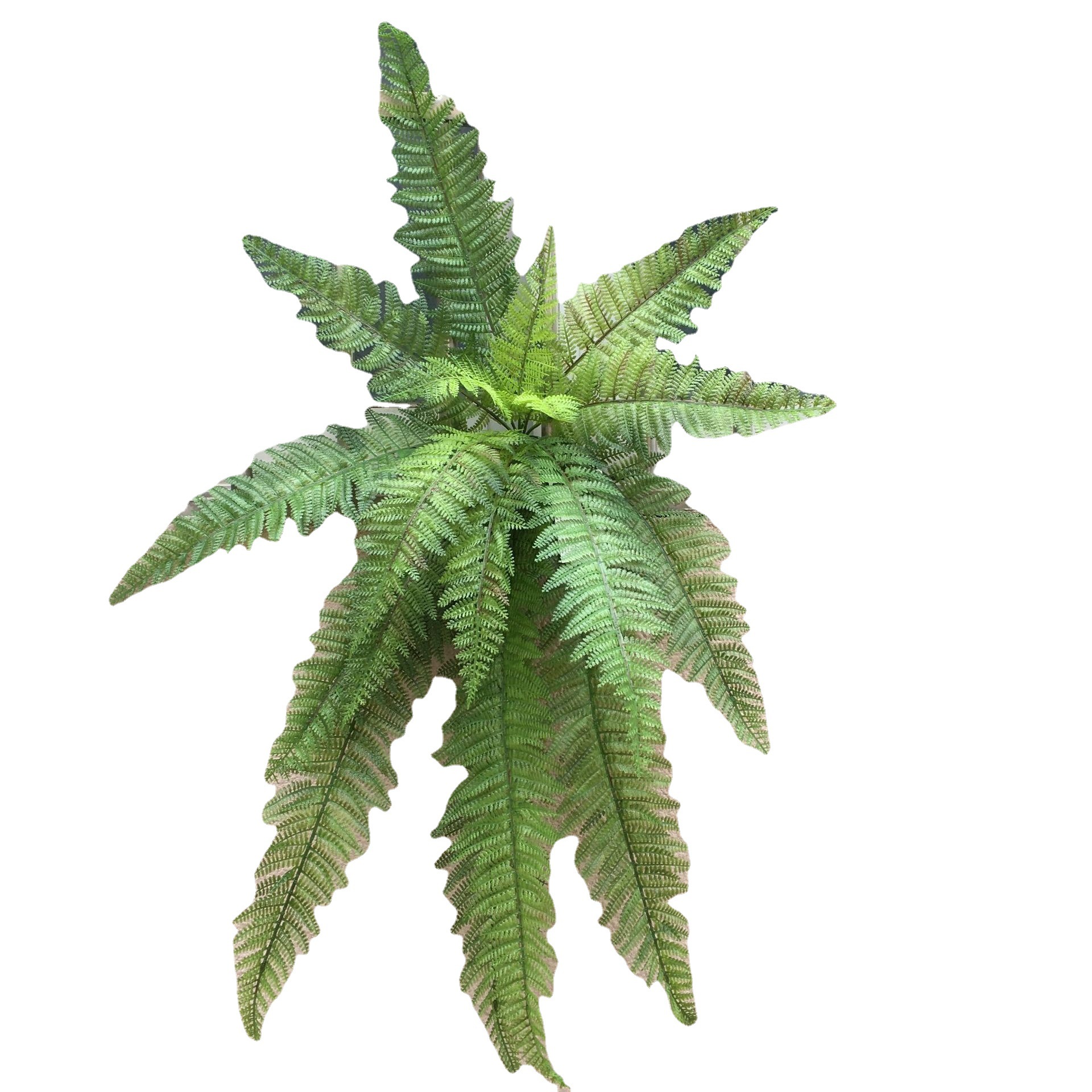 Simulated Large Persian Leaf Wall Hanging Fern Leaf Plant Wall Green Plant Landscaping Double-Layer Fine-Toothed Plastic Fern Leaf Shopping Mall Layout