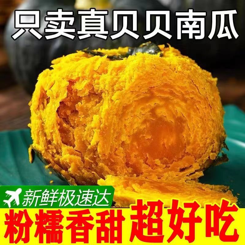 Too Glutinous and Too Sweet] Authentic Beibei Chestnut Pumpkin Baby Food Supplement Fresh Vegetables Beibei Small Pumpkin Whole Box