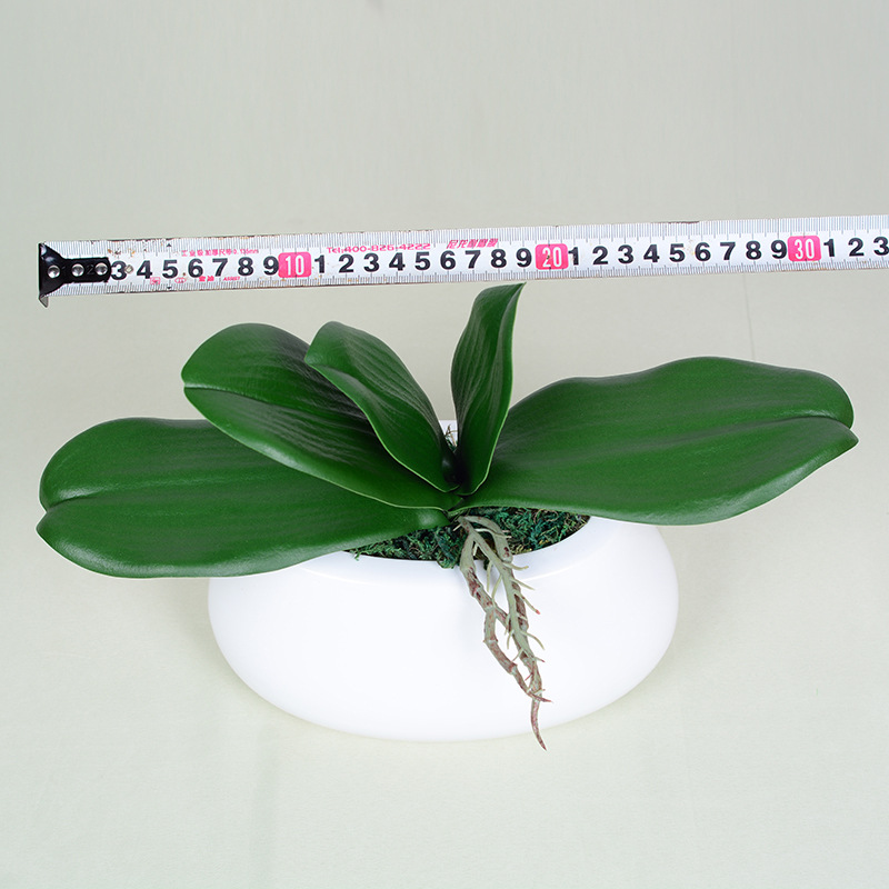 Feel pu phalaenopsis leaves artificial plant orchid leaf film phalaenopsis potted leaves wholesale