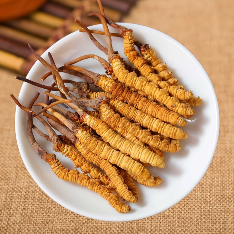 Xizang Girl Cordyceps Cordyceps Cordyceps Xizang Naqu Frozen Dry Goods Cordyceps Cordyceps Cordyceps Cordyceps Cordyceps Cordyceps Cordyceps Cordyceps Cordyceps Cordyceps Cordyceps Cordyceps Cordyceps Cordyceps Cordyceps Cordyceps Cordyceps Cordyceps Cordyceps Cordyceps Cordycep