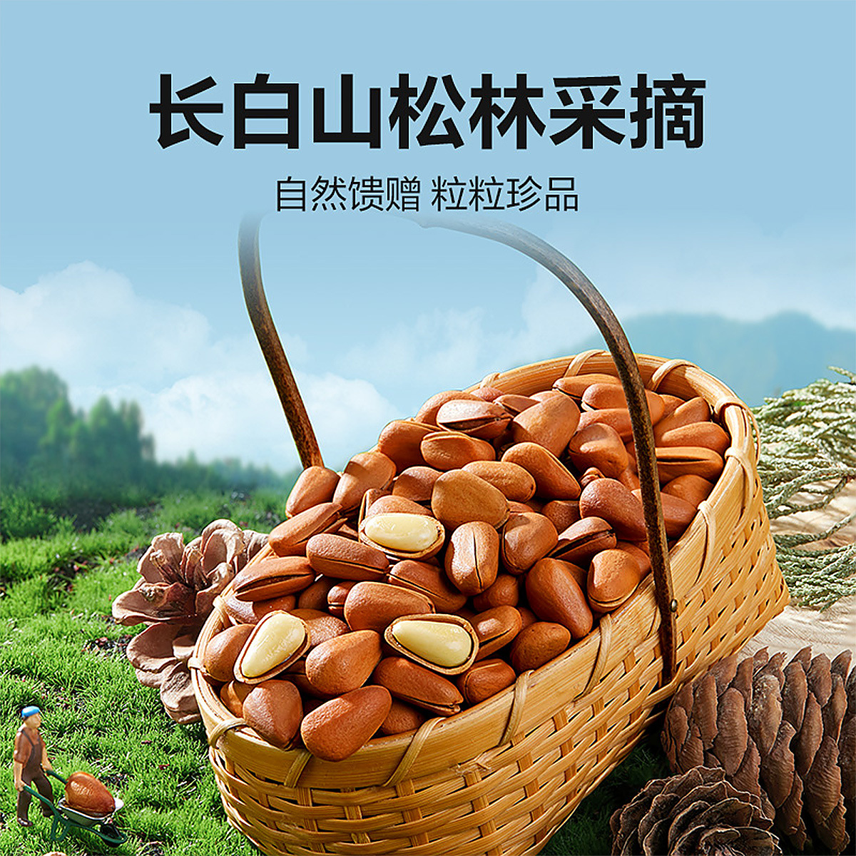 Bestore Northeastern Pine Nuts 500g Red Pine 2025 New Arrival Large Particle Nuts Canned Snacks Dried Nuts