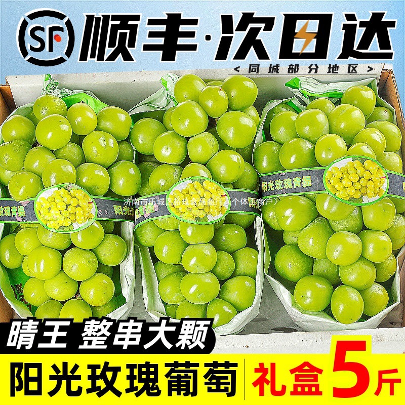 Свежий виноград Sunshine Rose 2.5кг, подарочная коробка, ароматные зеленые изюмы Qingwang, сезонная оптовая коробка, бесплатная доставка Sf