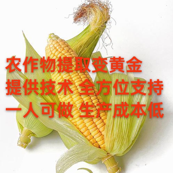 Outsourcing Semi-Finished Products for Processing at Home: Extracting Plant Protein Peptides from Corn, Extracting Agricultural Products to Transform Them into Gold, a New Avenue