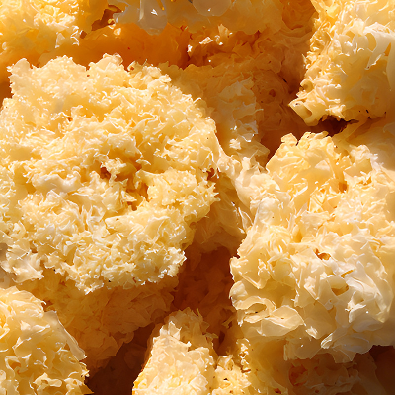 Fujian Gutian tremella whole flower 500g bulk specialty tremella mushroom white fungus heavy snow ear in stock wholesale