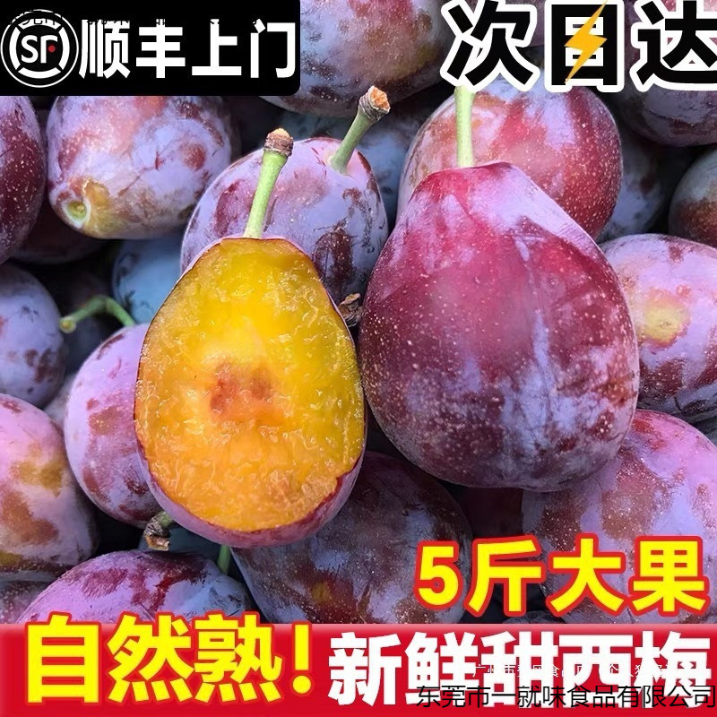 Свежие сливы, сезонная подарочная коробка с французскими синими медовыми сливами