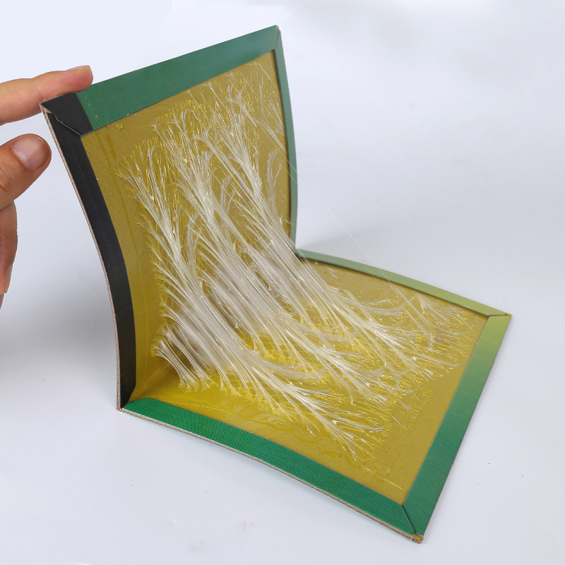 Cross-Border New Thickened Sticky Mouse Board Sticky Mouse Board with Bait Mouse Trap Household Mouse Sticky Mouse Board