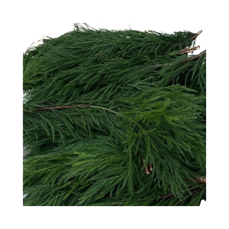 Japanese Girl Christmas Tree Materials Fresh Internet Celebrity Japanese Girl Natural Pine and Cypress Decorative Christmas Materials