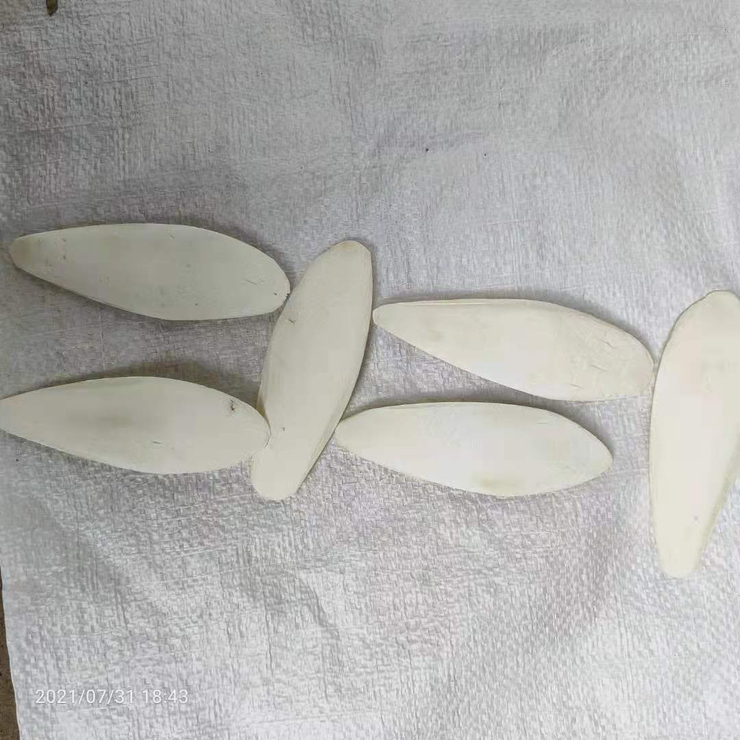 Factory Direct Hair Jellyfish, Cuttlefish Bone Polishing, Bird Pet Teeth Grinding, Calcium Supplement Pieces, Various Specifications