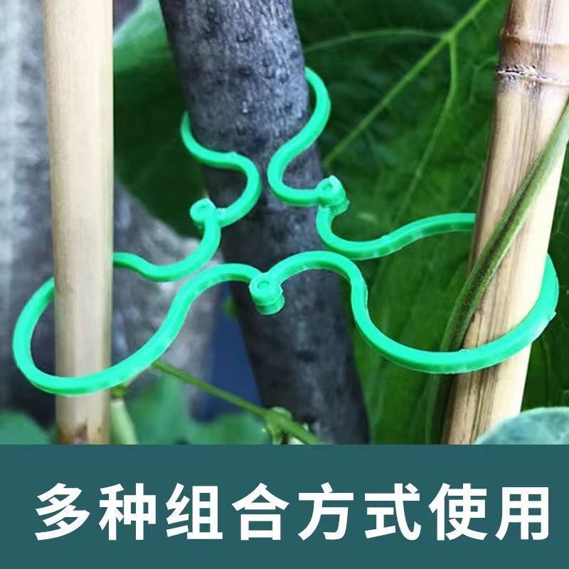 Planting vine fixing clip climbing vine plant stem support garden tools 8-shaped buckle multifunctional gardening buckle