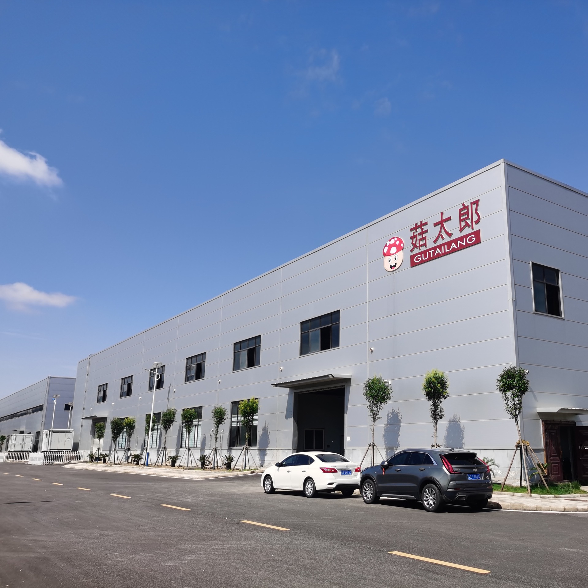 Oyster Mushrooms, Phoenix Tail Mushrooms, Abalone Mushrooms, Mushroom Slices, Oyster Mushroom Strips, Oyster Mushroom Shreds, Export Business Inspection, Export Base Registration