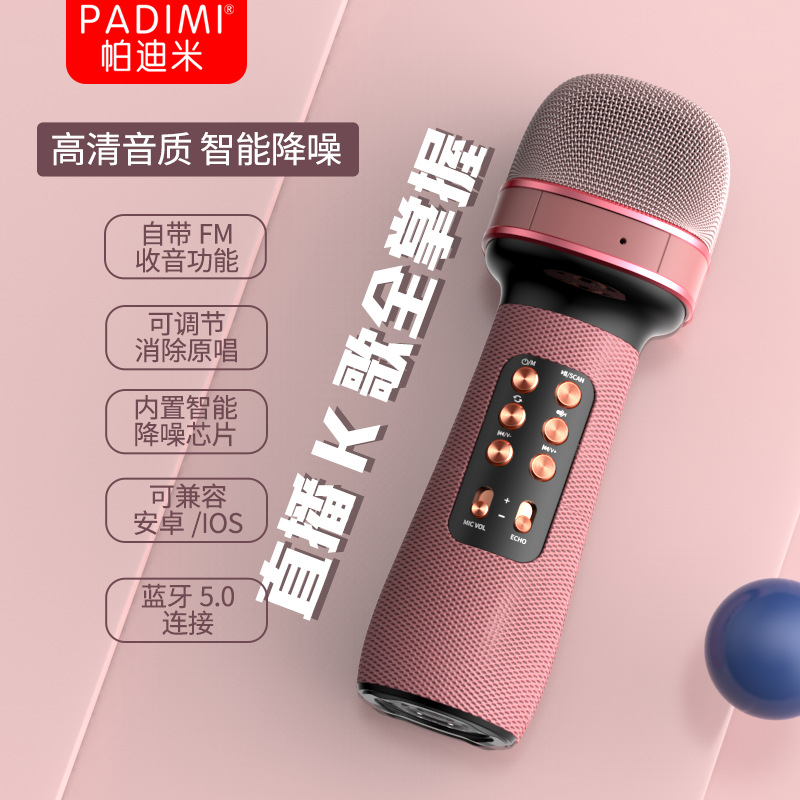 Bluetooth Microphone and Speaker Integrated Microphone for Universal Karaoke, Wireless Outdoor Portable Handheld Ktv Wireless Karaoke Device