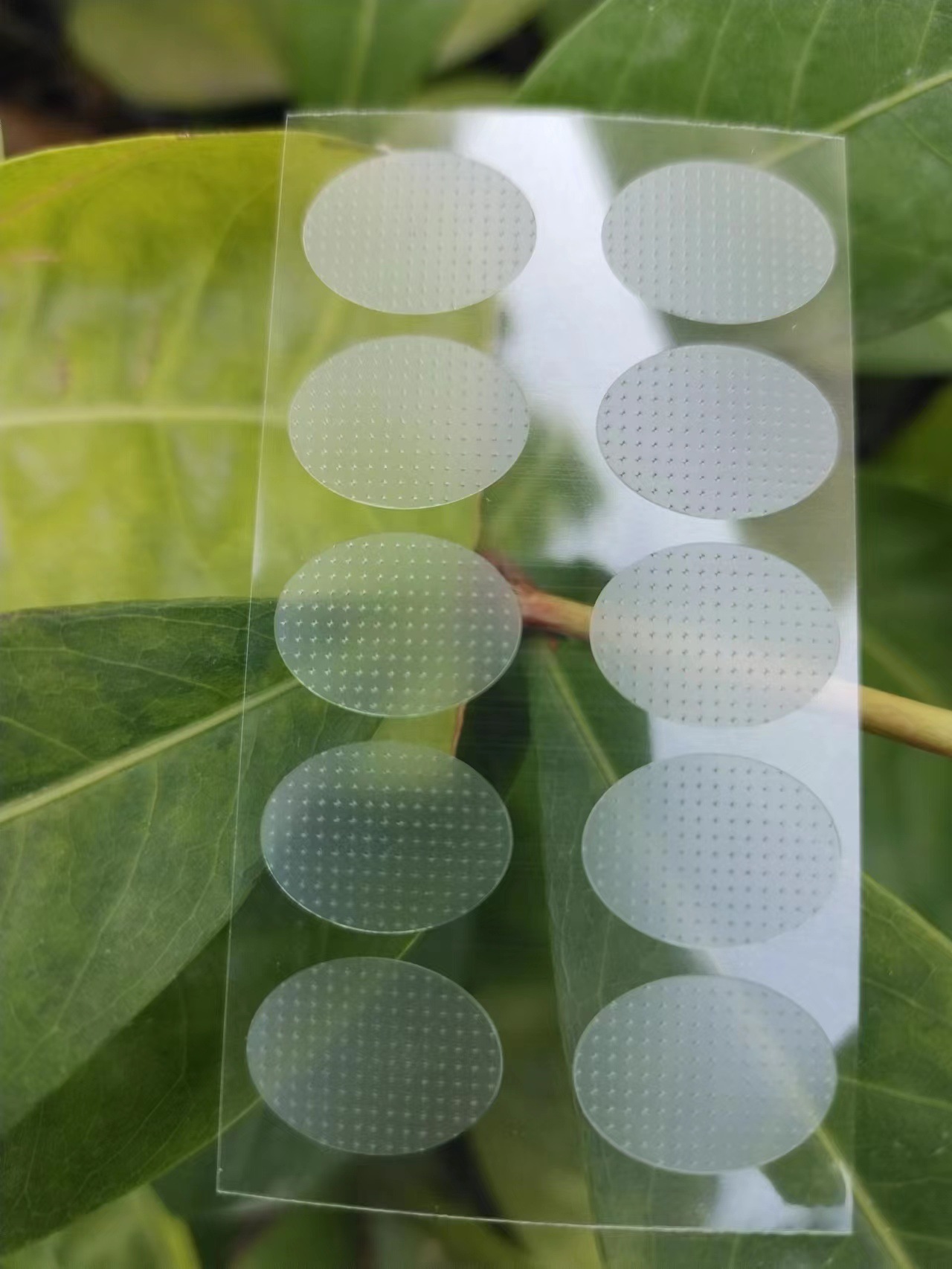 Невидимые наклейки для ушей, защитная пленка для мочек ушей