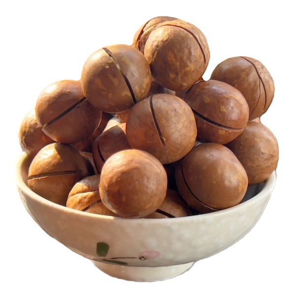 Hawaiian Macadamia Nuts Wholesale, Large Nuts with Opener, Creamy Flavor, New Year's Gift, Pistachios, Free Shipping