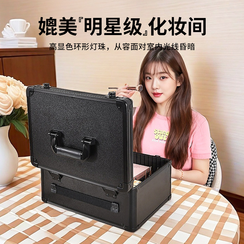 2025 New Model Makeup Case with Light and Mirror 10inch 15inch Portable Home Makeup Storage Box
