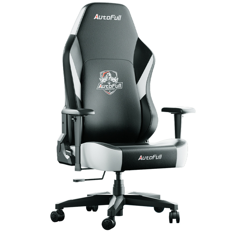 Aofeng C3-canglong E-sports Chair Ergonomic Chair Computer Chair Gaming Chair Office Chair AF806