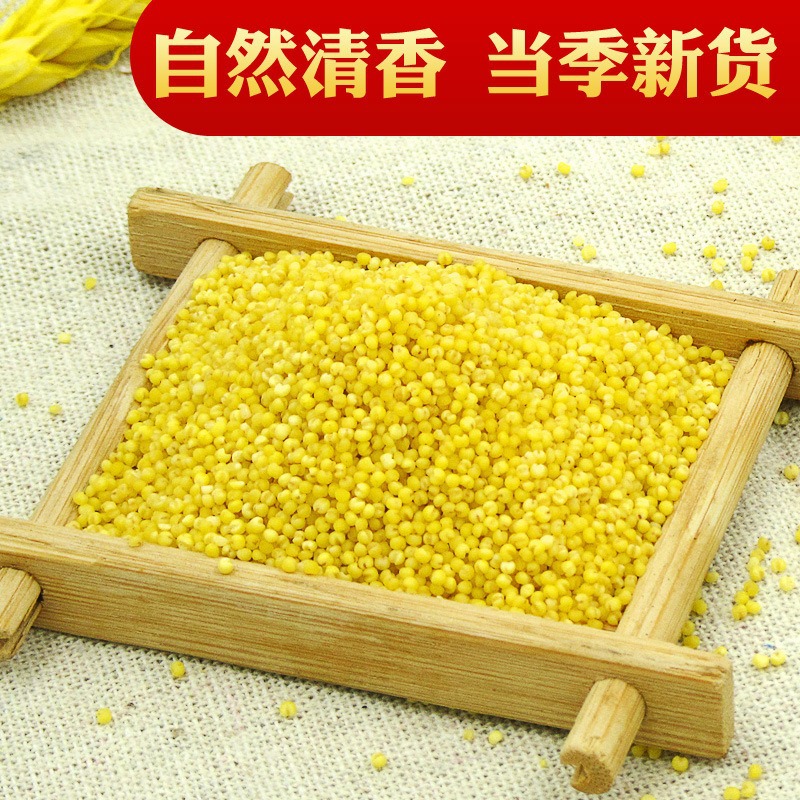 Xinhonghe northeast organic yellow millet 500g new millet factory wholesale month edible yellow rice bulk wholesale
