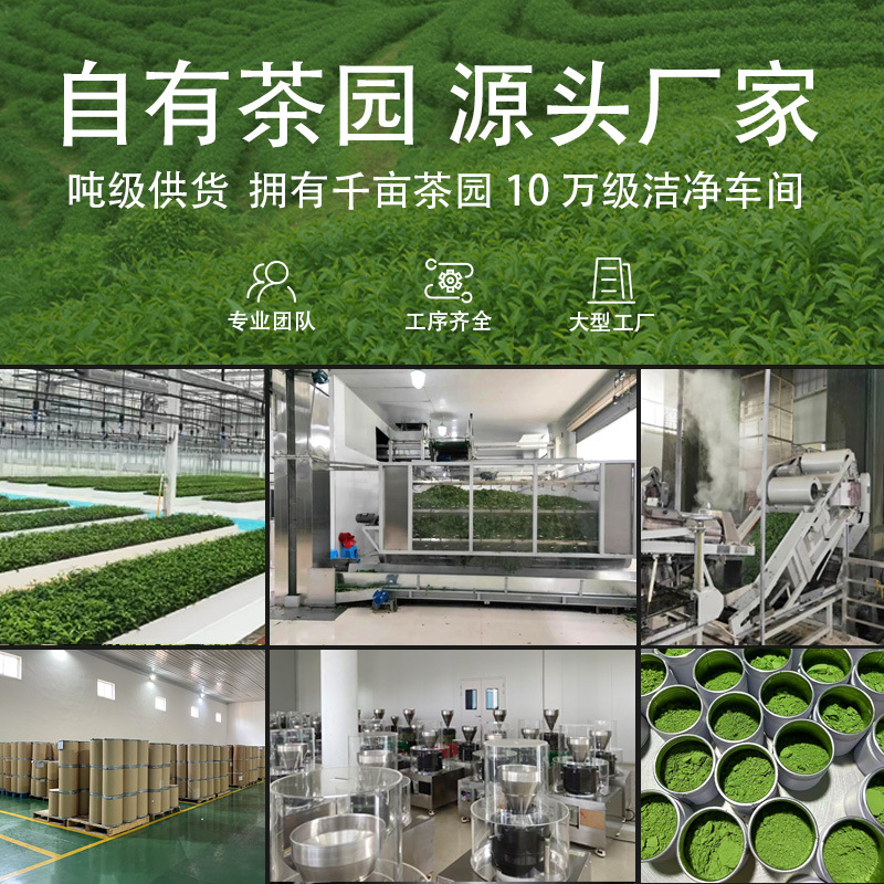 Etiquette-Grade High-Grade Matcha Powder Baked Milk Tea Catering Raw Materials Green Tea Instant Powder Freshly Ground High Quality