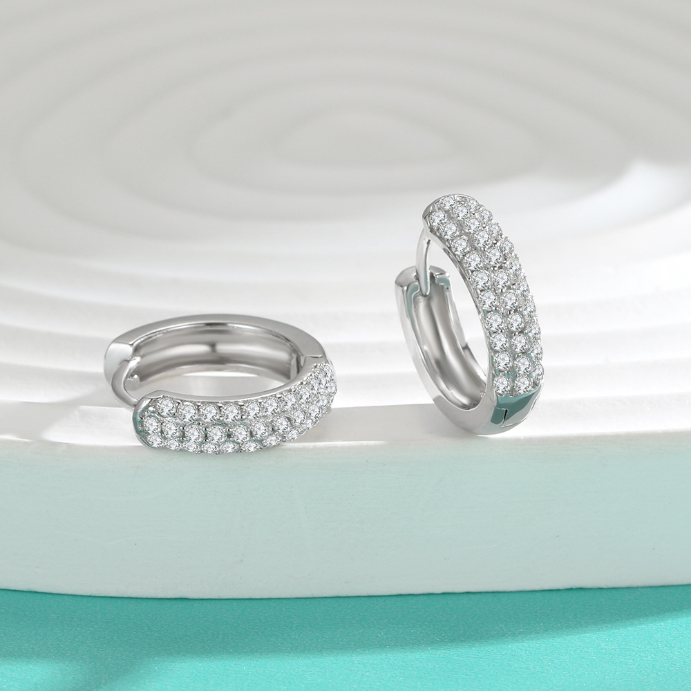 2024 Cross-Border Popular Earrings for Women, Gold, Silver, Diamond-Encrusted, High-End, Niche, European and American Style Earrings Wholesale