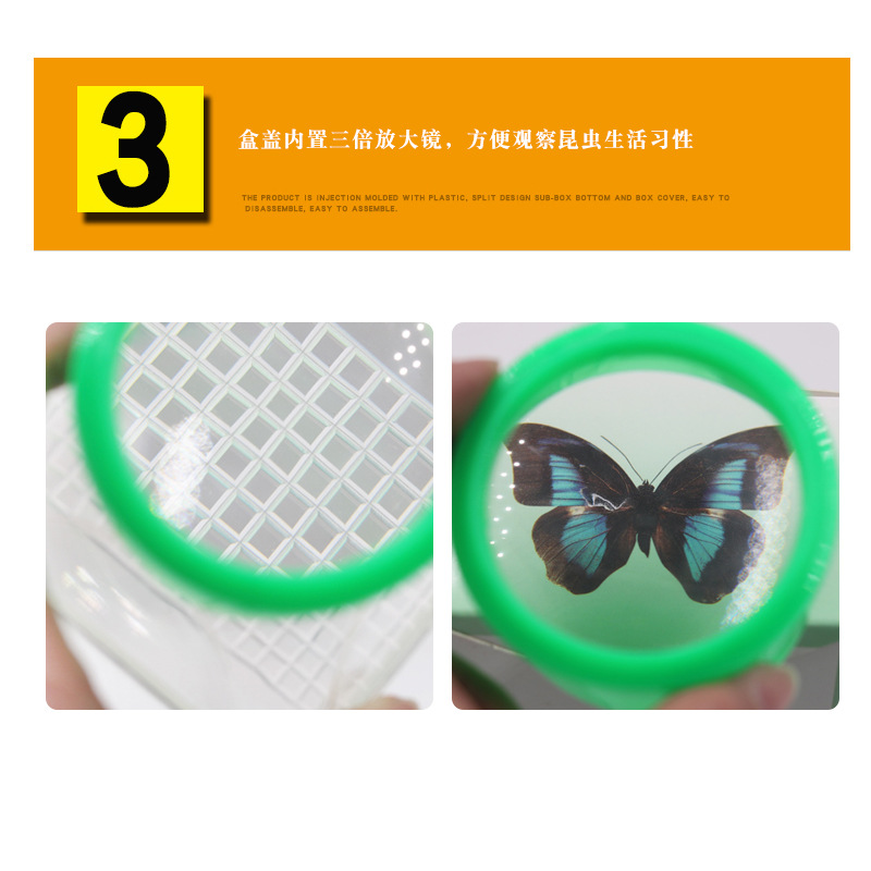 29040 Insect Observation Box (Large) Comes with 3X Magnifying Glass Primary School Science Experiment Equipment