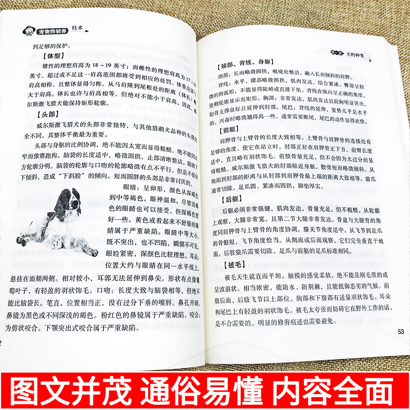 Authentic Pet Dog Training Technology Dog Disease Rapid Differential Diagnosis Atlas Treatment Book Dog Training Tutorial Line
