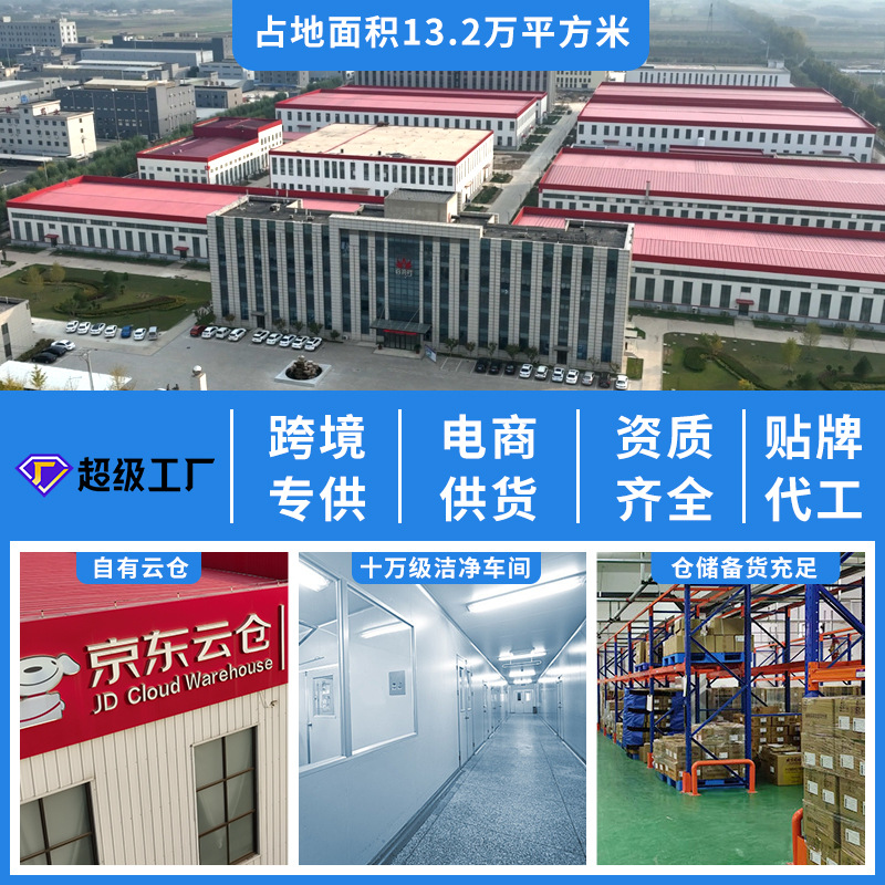 Foreign Trade Special Whey Protein Powder Solid Beverage Oemodm Processing Factory