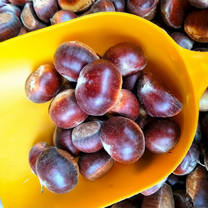 Fresh Chestnuts Picked and Fried on the Spot by Farmers, Non-Oiled Chestnuts, Large Fruits from Dandong, Shipped on Behalf of Others
