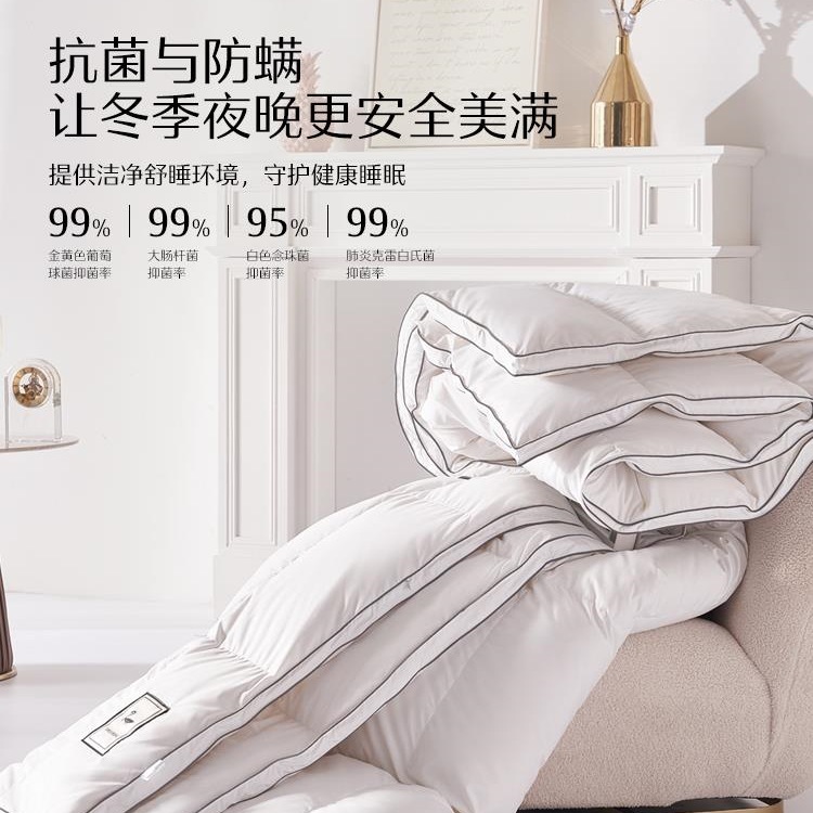 Home Textile Class a Summer Quilt 90% White down Quilt Core Thickened Warm Quilt Autumn and Winter Home Bedding