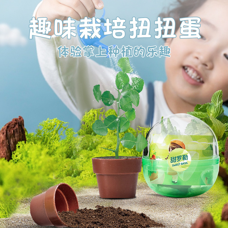 Toy Blind Box Wholesale Gashapon Machine Set Egg Ball DIY Potted Plant Children's Small Gifts Educational Hands-On Blind Box Series