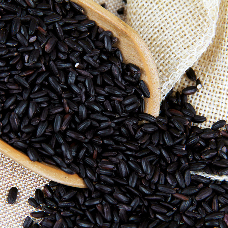 Supply of Five-Grain Freshly Ground Powder, Low-Temperature Baking Ingredients, Northeastern Black Fragrant Rice, Cooked Grains, Cooked Black Rice