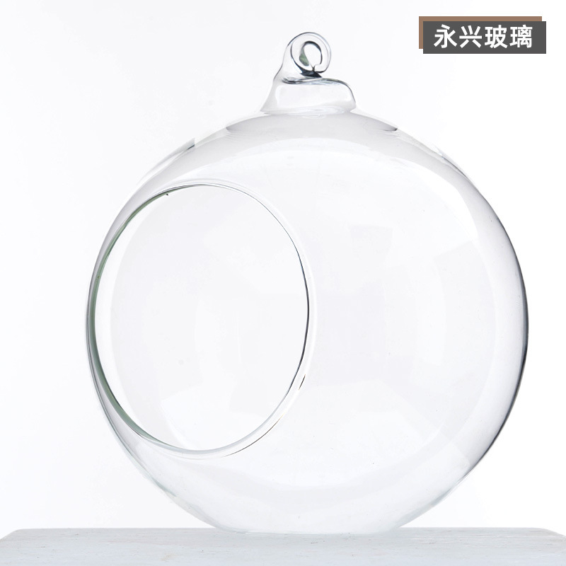 Opening glass ball DIY micro landscape vase wedding furniture decoration hanging iron frame creative crafts wholesale