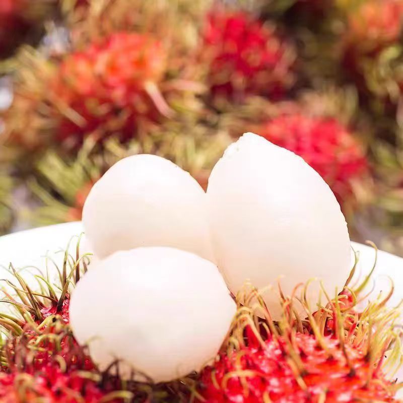 Freshly Picked and Shipped Hainan Baoting No. 7 Rambutan, Fresh Tropical Fruit for Pregnant Women, Gift Box with Free Shipping