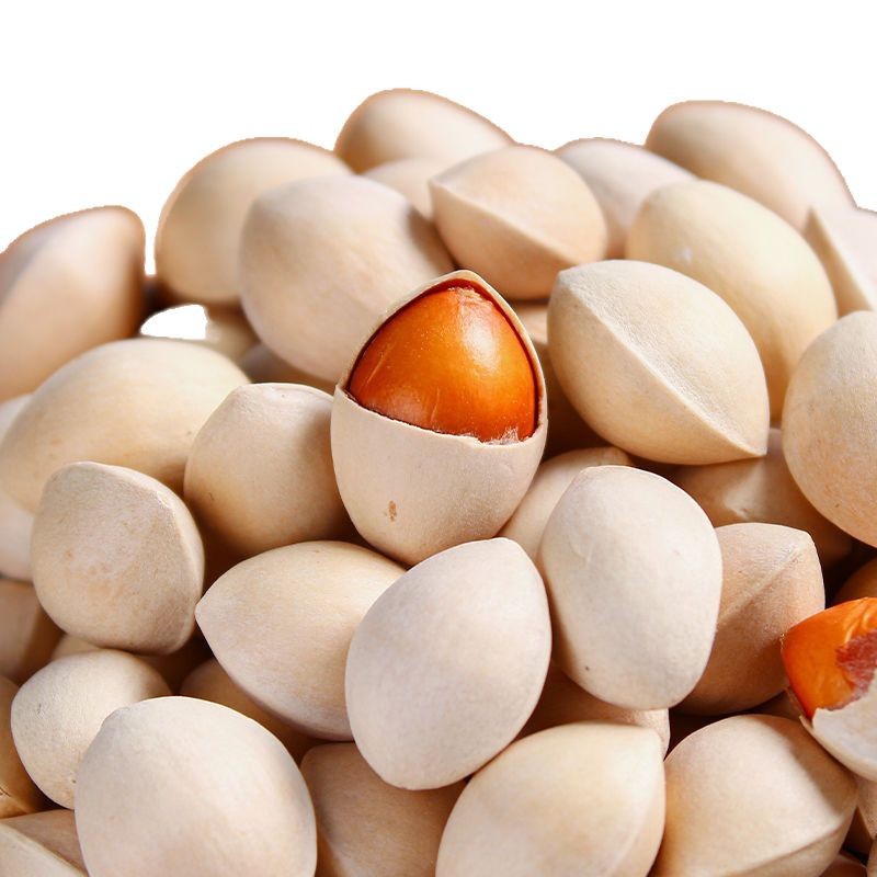 Selection of Fresh White Ginkgo Nuts with Shells, Raw White Kernels, No Bleaching, Wholesale from Xuzhou Pizhou
