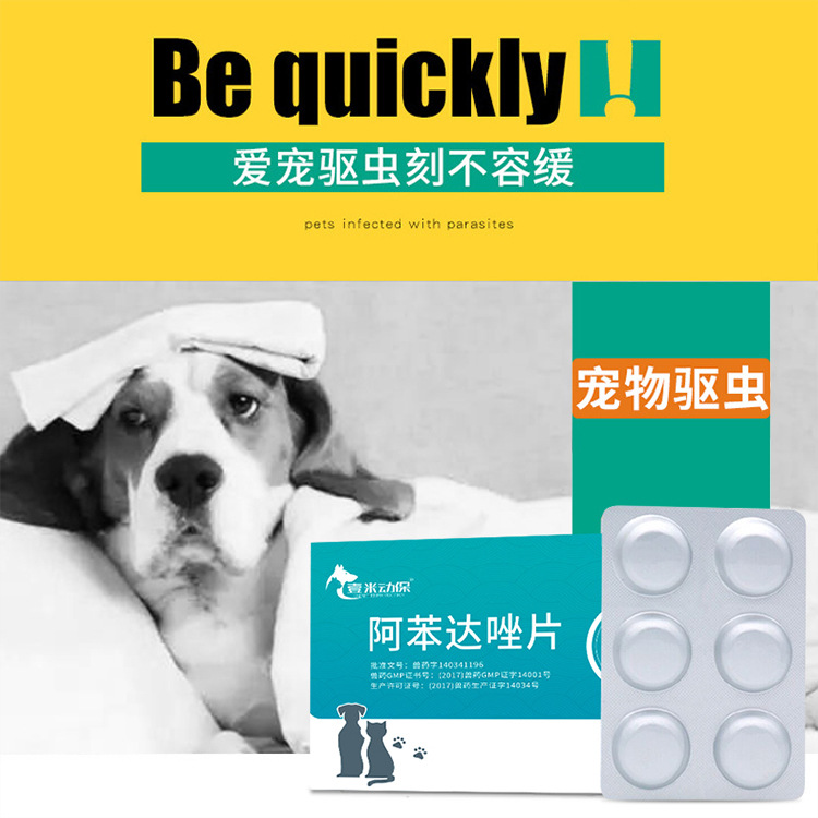 Pet Anthelmintic Drug Albendazole Tablets, 6 Tablets of Anthelmintic Drug for Dogs, Anthelmintic Drug for Cats, Pet Medicine