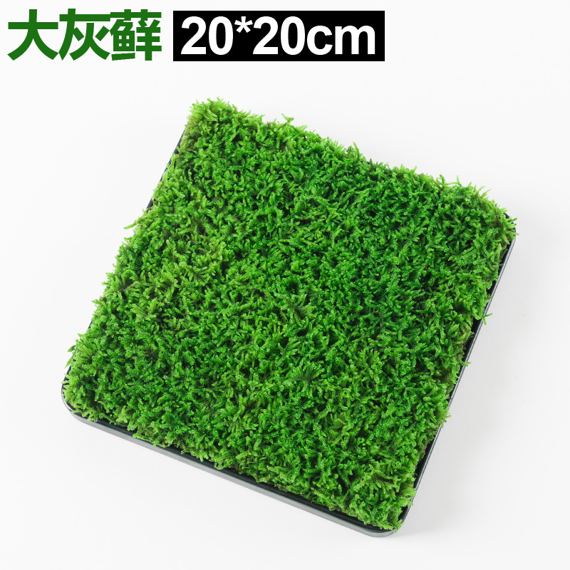 Whole Piece of Fresh Moss Micro Landscape Bonsai Paving Courtyard Decoration Moss Plant Rainforest Water and Land Tank Landscaping Material