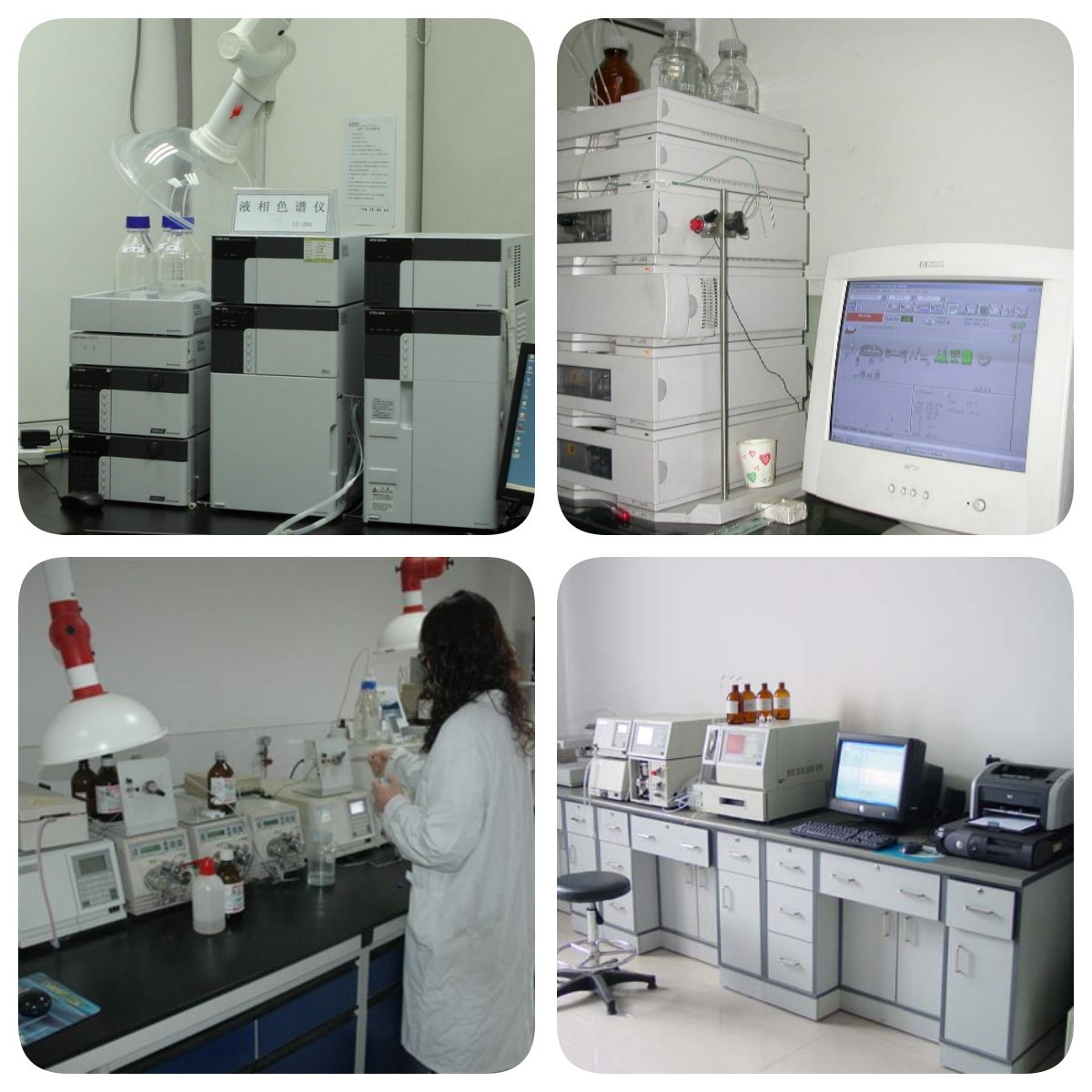 50% ~ 80% of Polysiae Rhizoma Polysaccharide Support Detection of Water Soluble Polysiae Rhizoma Extract Powder Collection Voucher Polysiae Rhizoma Extract