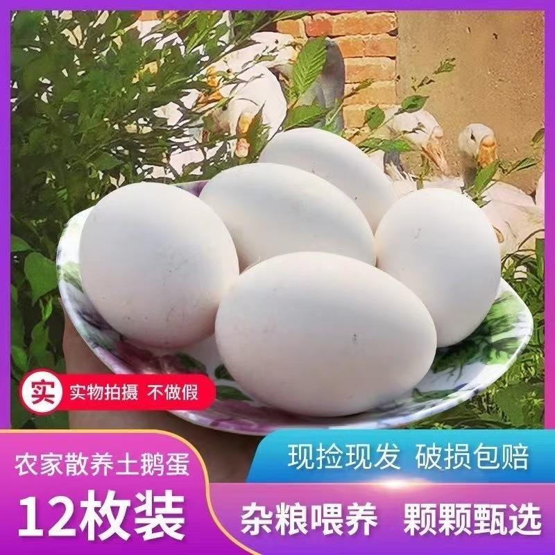 Goose Eggs 24-Hour Fresh Eggs Fresh Free-Range 12 Goose Eggs Farm Native Goose Eggs Nutritious and Healthy Free Shipping Wholesale