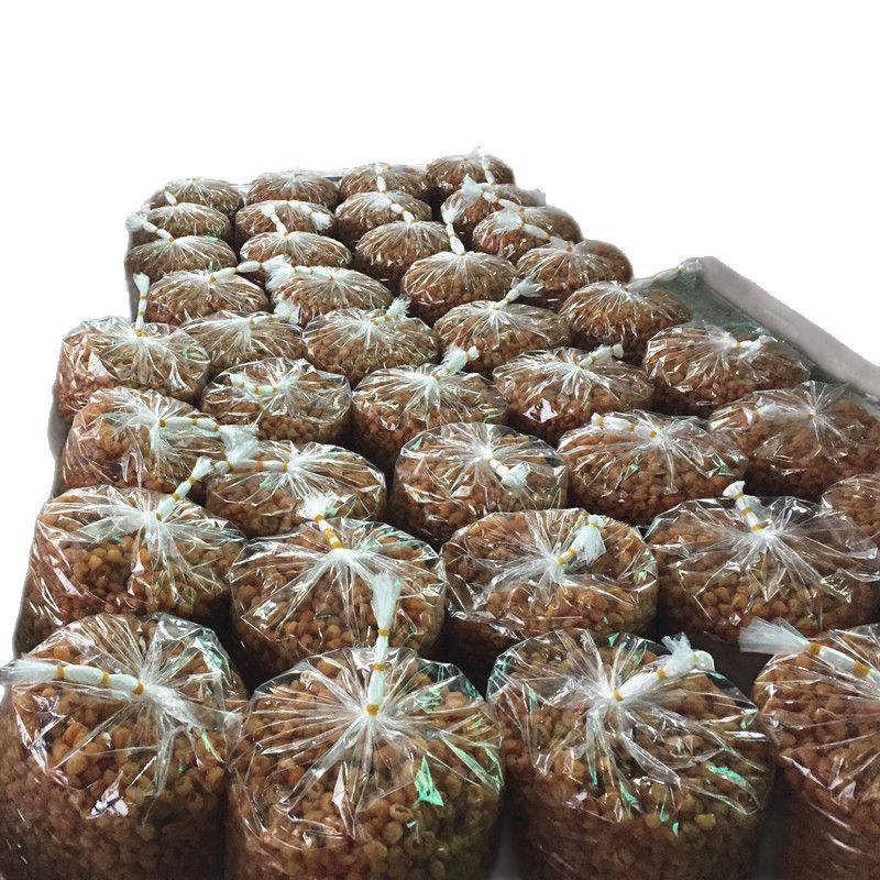 5A hollow longan meat particles complete wolfberry longan tea combination sulfur-free ash does not exceed longan meat dry bulk