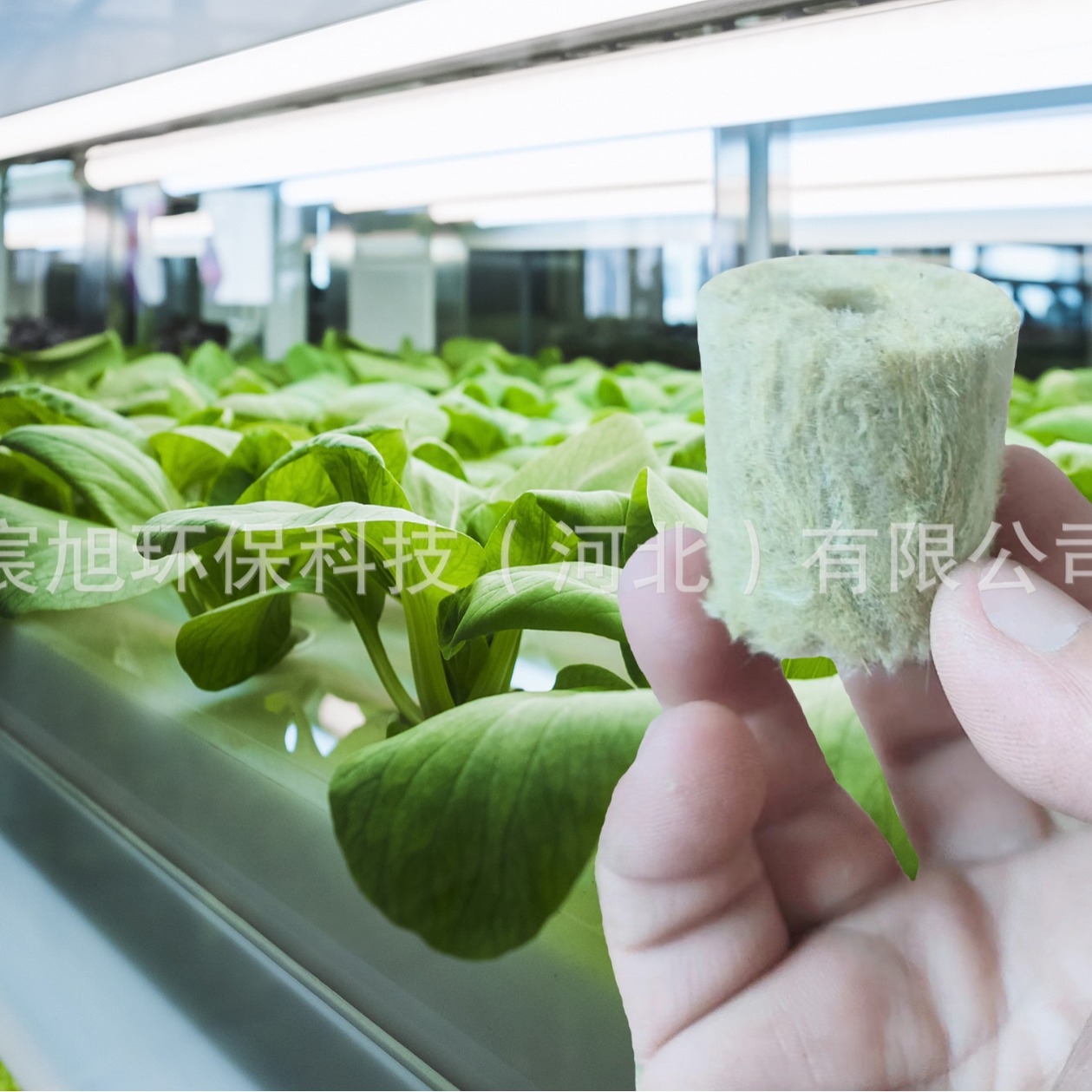 Factory Direct Supply of Upgraded Version 38*40 Hydroponic Vegetable Agricultural Hydroponic Rock Wool