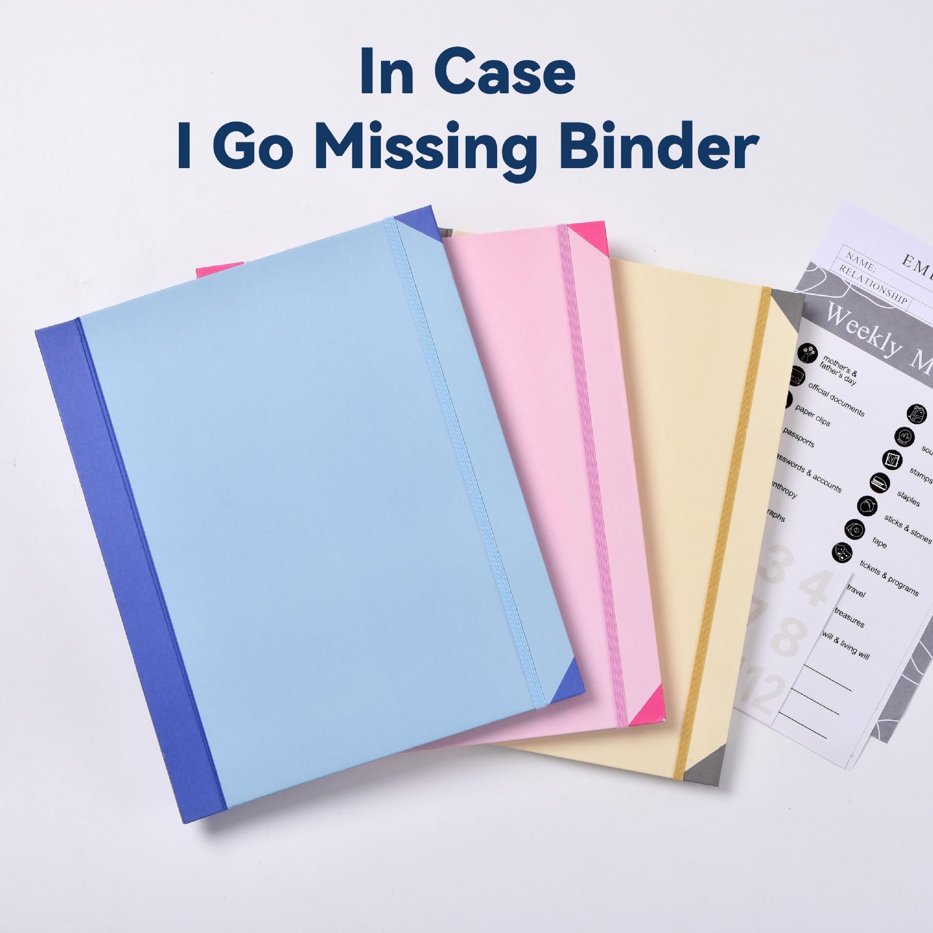Cross-Border New Product Incaseigomissingbinder Pocket Folder Accordion File Bag Export Storage