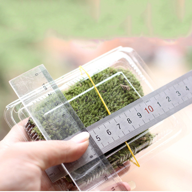 Материал для аксессуаров, мох для микландшафта, свежий белый волосатый мох, мелкий белый мох, оптовая продажа