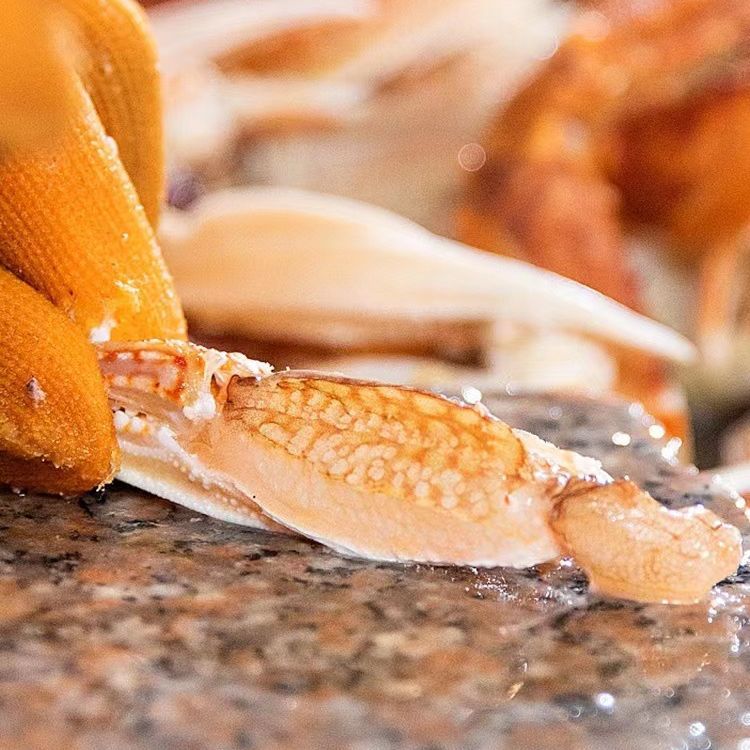 Factory Wholesale Large Crab Legs Meat from Dongshan Island, Hong Kong-Style Hairy Crab Legs Meat, No Need to Peel, Crab Claws [One-Piece Dropshipping Live Broadcast]